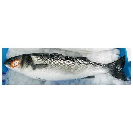 Bar de ligne - 850 g