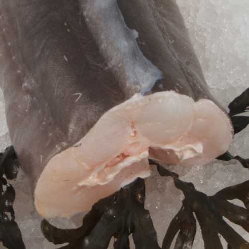 Vente Congre - morceau de 500 g - Achat en ligne et livraison à domicile