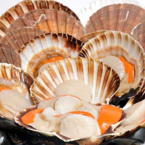 Vente Noix de Saint Jacques avec corail - 500 g - Achat en ligne et livraison à domicile