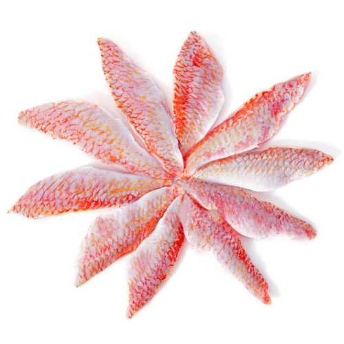 Vente Filet de rouget barbet - 500 g - Achat en ligne et livraison à domicile