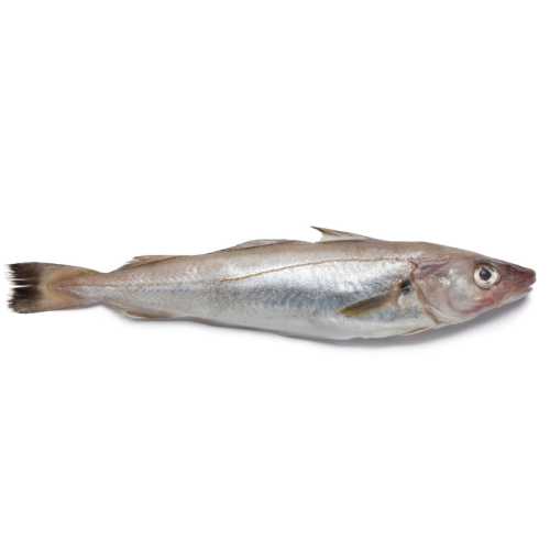 Vente Merlan vide 200/300g - 0.95 / 1.05 kg - Achat en ligne et livraison à domicile