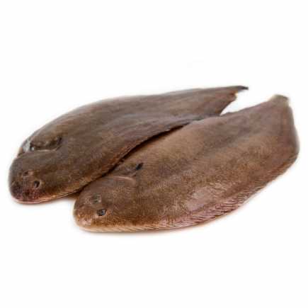 Sole 300/400 g - 0.95 / 1.05 kg