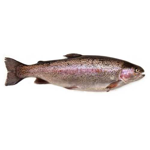Vente Truite rose arc en ciel - 0.95 / 1.05 kg - Achat en ligne et livraison à domicile