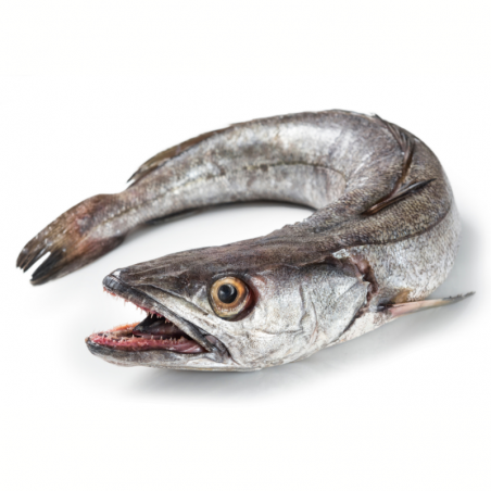 Merlu portion - 0.95 / 1.05 kg