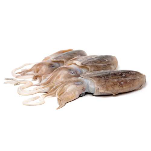 Vente seiche petite 0.95 / 1.05 kg - Achat en ligne et livraison à domicile