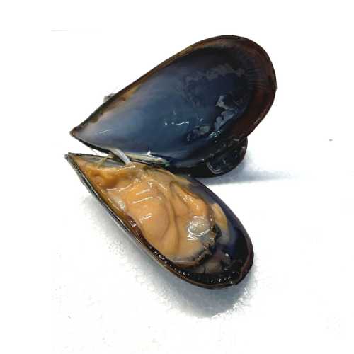 Vente Moules d'Espagne - 500 g - Achat en ligne et livraison à domicile