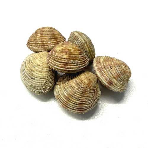 Vente Praire - 1 kg - Achat en ligne et livraison à domicile