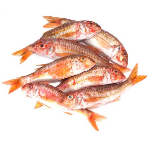Vente Rouget barbet - 0.95 / 1.05 kg - Achat en ligne et livraison à domicile
