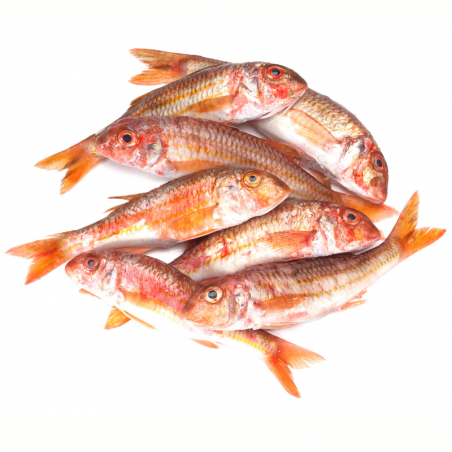 Rouget barbet - 0.95 / 1.05 kg