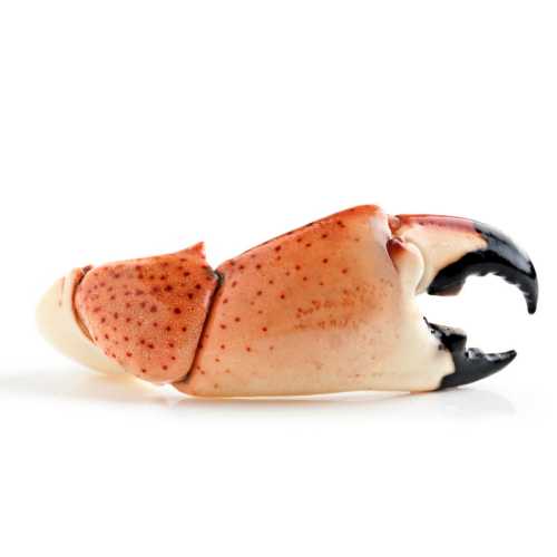 Vente Pinces de crabes cuites - 500 g - Achat en ligne et livraison à domicile