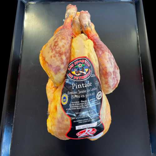 Pintade - 1.300/1.500 kg