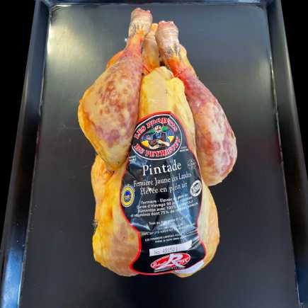 Pintade - 1.300/1.500 kg