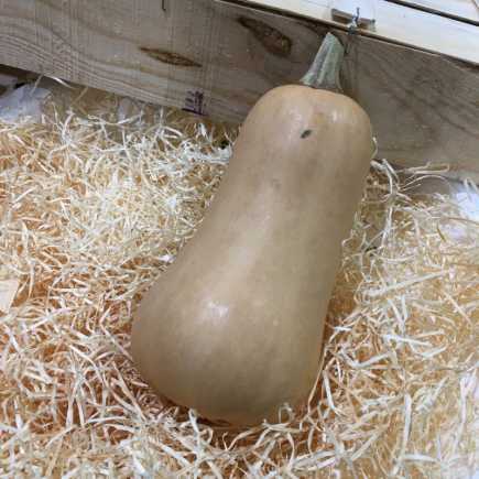 Butternut 1.2kg/1.5kg - 1 Pièce