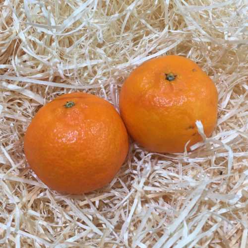 Clémentine Orri - 500 g