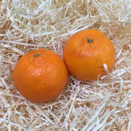 Clémentine Orri - 500 g