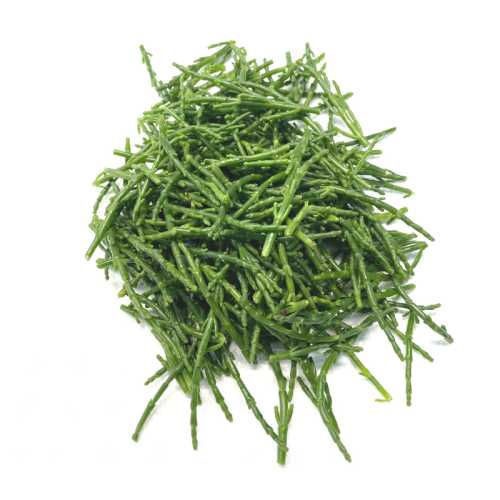 Vente Salicorne fraîche - 250 g - Achat en ligne et livraison à domicile