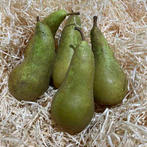 Poire Conférence - 500 g