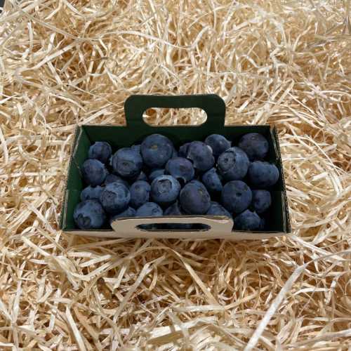 Myrtille - La barquette 125 g