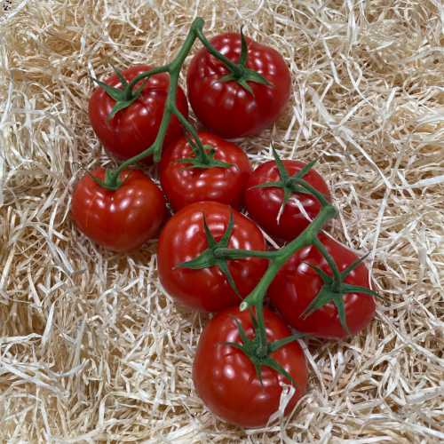 Tomate - 500 g -