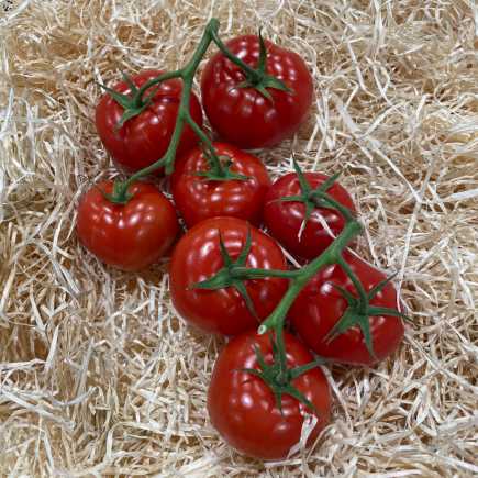 Tomate - 500 g -