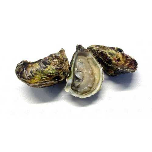 Vente Huîtres Bouzigues spéciales - Achat en ligne et livraison à domicile