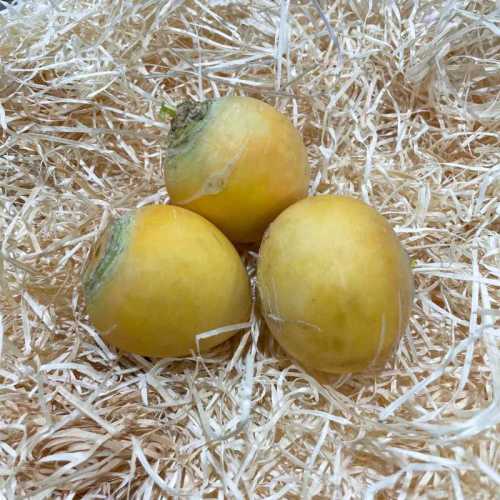 Navet Boule d'or - 500 g