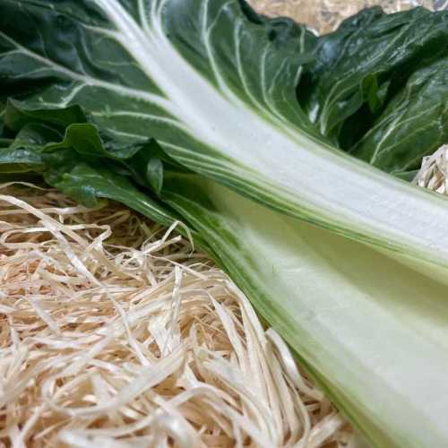 Blette - côte sous vide - 500 g