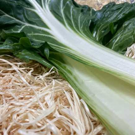 Blette - côte sous vide - 500 g