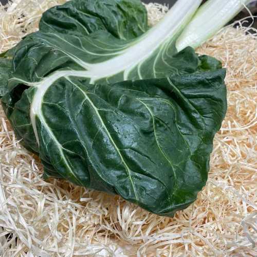 Blette - côte sous vide - 500 g