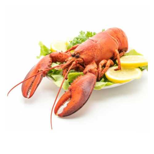 Vente Homard Européen cuit - Achat en ligne et livraison à domicile