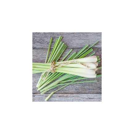 Citronelle baton - Le sachet