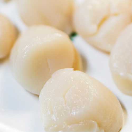 Noix St jacques blanche sans corail