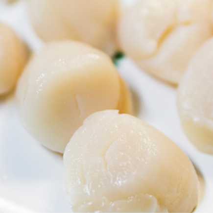 Noix St jacques blanche sans corail