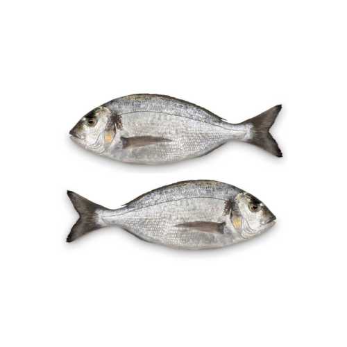 Vente Dorade Royale 300/450g   - 1 kg - Achat en ligne et livraison à domicile