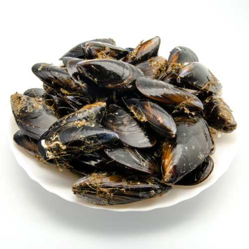 Vente Moules d'Espagne très grosses - 500 g - Achat en ligne et livraison à domicile