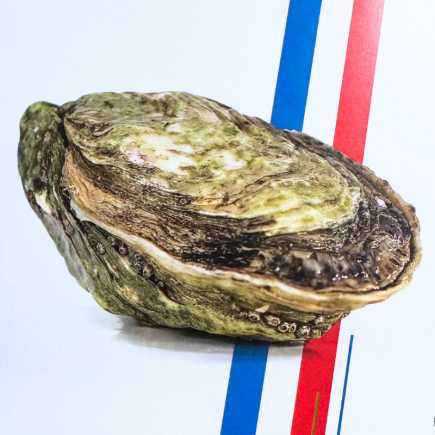 Huîtres Joséphine - 24 pièces n*3