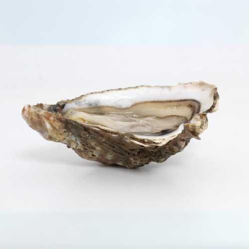 Vente Huîtres Gillardeau - Achat en ligne et livraison à domicile