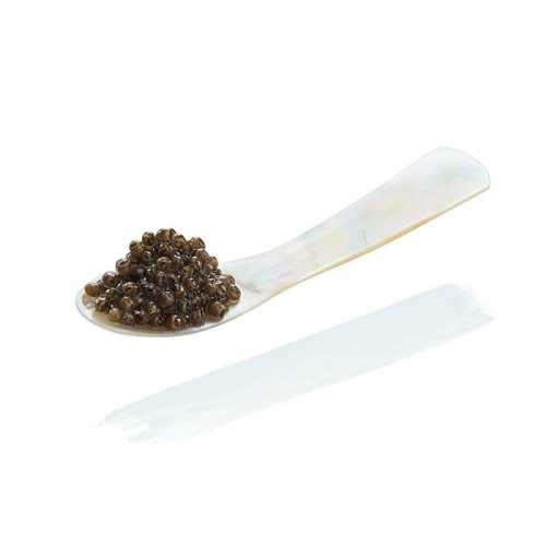 Caviar STURIA Oscietra - 30 g