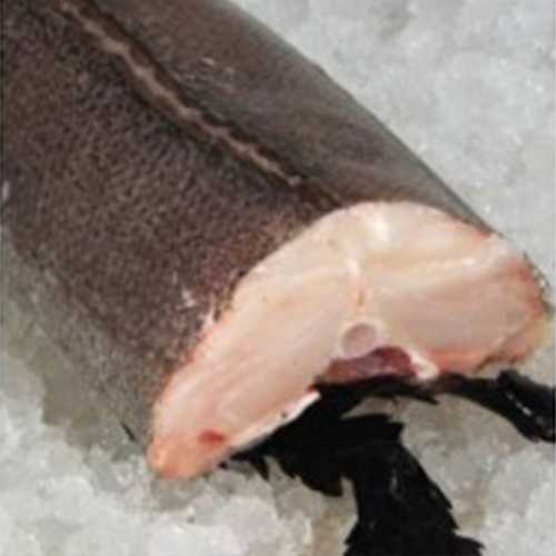 Vente Merlu - morceau de 500 g - Achat en ligne et livraison à domicile