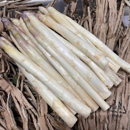 Asperge blanche - 1kg