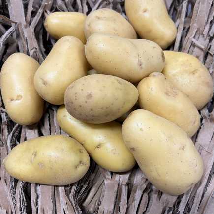 Pomme de terre Vapeur/Raclette - 1kg