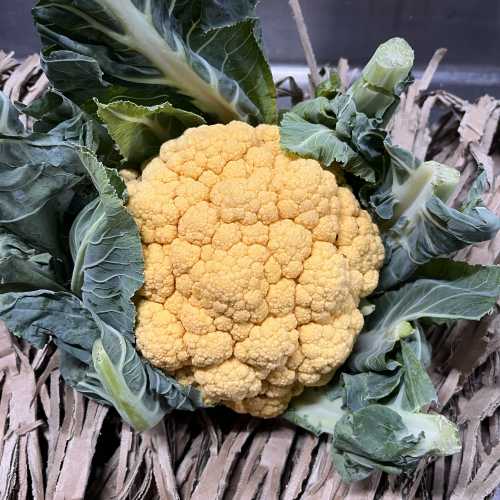 Chou fleur jaune- 1 pièce