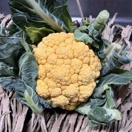 Chou fleur jaune- 1 pièce