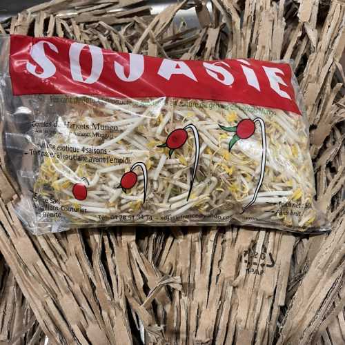 Germe de Soja/Haricot Mungo - 500 gr