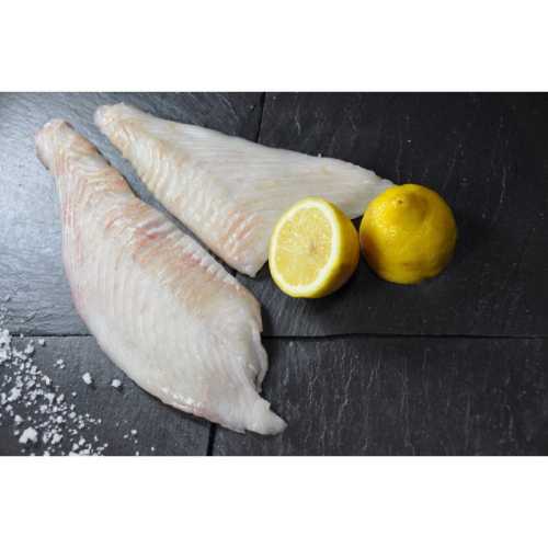 Vente Filet de Turbot a/Peau - 500 g - Achat en ligne et livraison à domicile