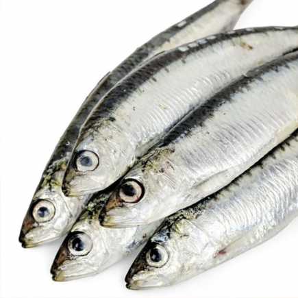 Sardine bretonne - 0.95 / 1.05 kg