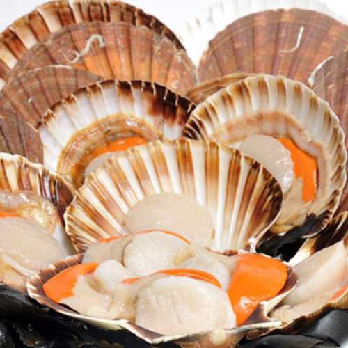 Vente Coquilles St Jacques Françaises Entières - 1 kg - Achat en ligne et livraison à domicile
