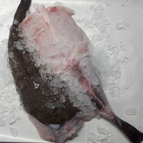 Vente Queue de lotte en ligne et livraison à domicile