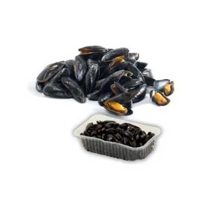 Moules de hollande - 1 kg ou 2 kg