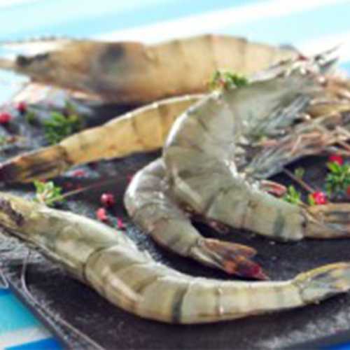 Vente Crevettes crues 20/30 - 800 g - Achat en ligne et livraison à domicile